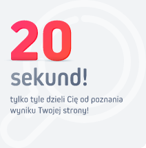 Verseo Sygnet - Magnetyczny Marketing