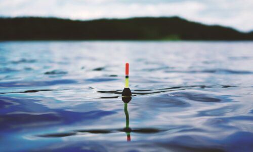 Pozyskuj klientów w Internecie - dobre praktyki Sprawdzone metody - jak zdobyć nowych klientów online?