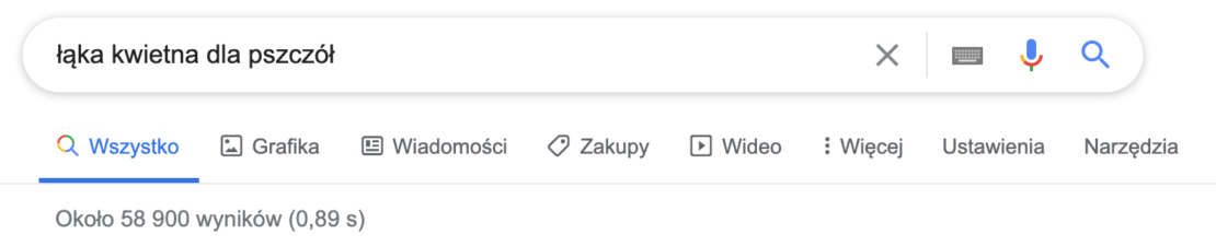 Analiza słów kluczowych – dobre praktyki dla skutecznego SEO i content marketingu - zdjęcie nr 7