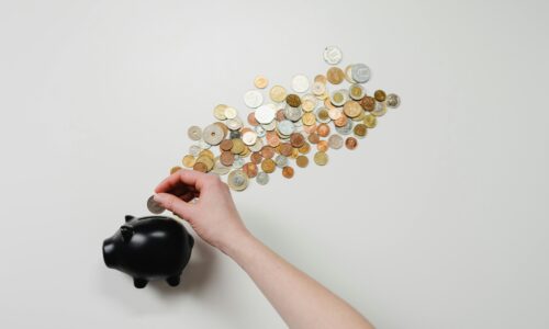 Dofinansowanie na sklep internetowy - jak je otrzymać? Otwórz sklep internetowy przy minimalnym wkładzie własnym - dostępne dofinansowania