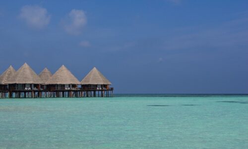 Jak planować kampanie na podstawie trendów?