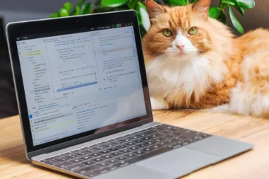 Co to jest FTP Czym jest File Transfer Protocol (FTP)